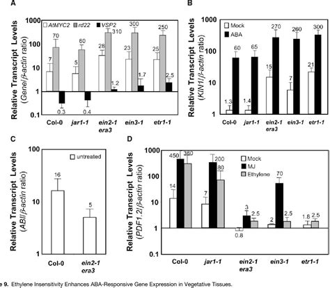 PDF Antagonistic Interaction Between Abscisic Acid And Jasmonate