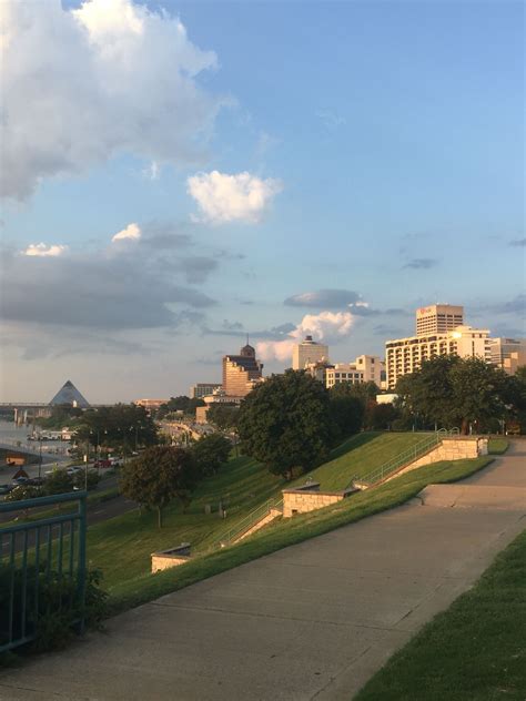 On The Bluffs Memphis Dolores Park The Outsiders Travel Viajes