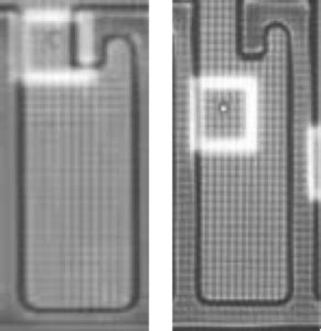 Beacon Quest Optofluidic System Bruker Cellular Analysis