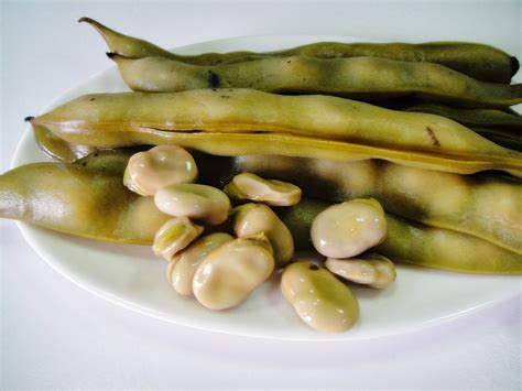 Maryam S Culinary Wonders 594 Iraqi Boiled Fresh Beans