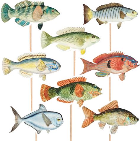 Amazon Pcs Fishing Cupcake Topper Baby Shower Gone Fishing