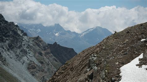 Gran Paradiso Wildlife / Tour Report June 2021