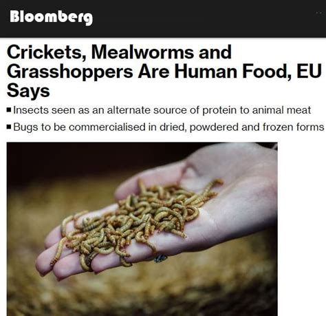 The European Commission Gave The Green Light You Will Eat Ze Bugs 9gag