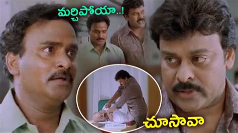 Venu Madhav Excellent Comedy With Chiranjeevi Jai Chiranjeeva Movie