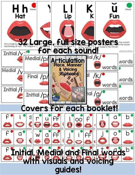 Articulation Cardsflip Books For Place Manner And Voicing With Data