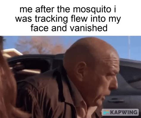 Mosquito Time Meme By Dexterwinter Memedroid