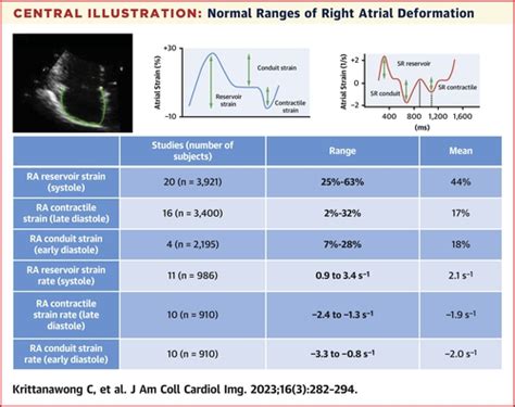 Normal Ranges Of Right Atrial Strain A Systematic Review And Meta