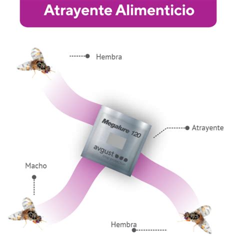 Feromonas Herramientas Innovadoras Para Una Agricultura Sostenible Y