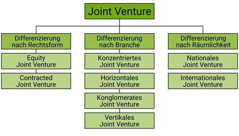 Joint Venture Definition