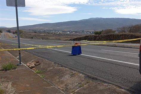 Puma Es Hallado Muerto En Cuneta De La Autopista De Occidente