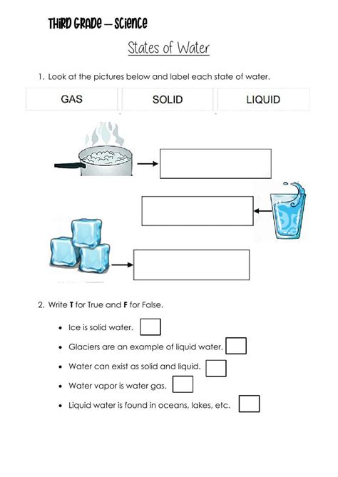 3 States Of Water Worksheets Worksheets Library