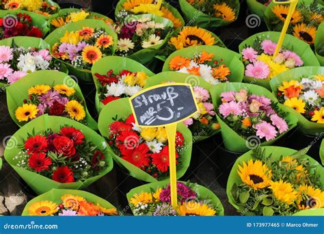 Fresh Flowers from the Market Stock Illustration - Illustration of ...