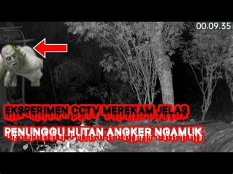 Eksperimen Cctv Di Hutan Angker Penunggu Hutan Ngamuk YouTube