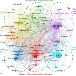 Network Visualization Map Of Author Keywords Co Occurrence Analysis