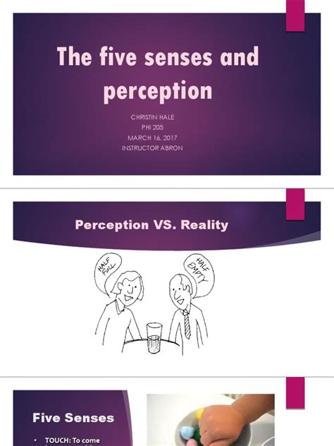 The five senses and perception.pptx