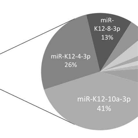 Relative Abundance Of Human And Kshv Encoded Mirnas In Kshv Positive