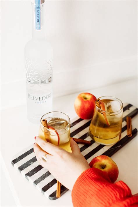 Apple Cider Vodka Cocktail: Easy and Delicious Holiday CocktailHonestly ...