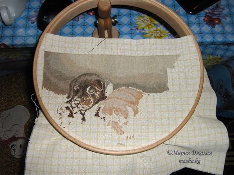 Процесс вышивки "Три собачки" ⋆ Москвичка в Бишкеке