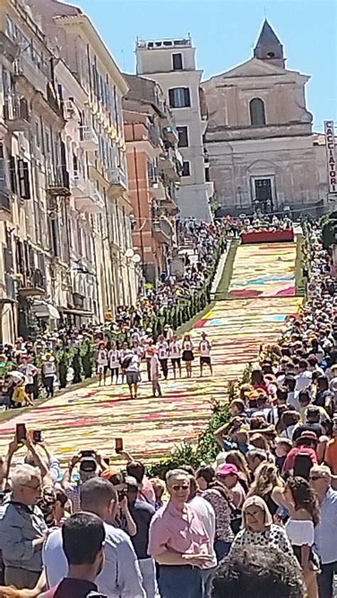 Genzano Di Roma Infiorata