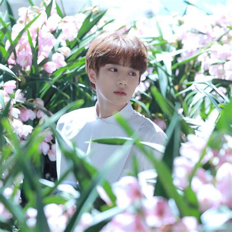 Danh sách visual chính thức của nhóm nhạc Kpop hot nhất Toàn cực phẩm nhiều trường hợp gây