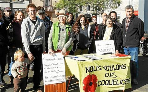 Coquelicots Quatrième rendez vous à Bégard Le Télégramme