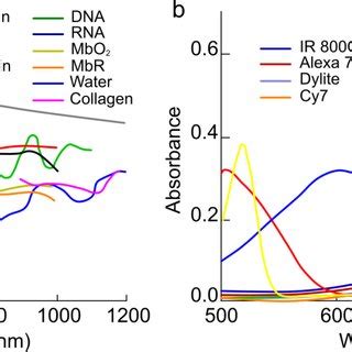 Optical Absorption Spectrum Of Regular Water H O And Heavy Water