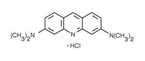 Acridine orange | ABP Biosciences