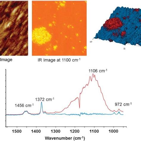 AFM-IR spectra (a) and AFM topography image (b) collected on a cross ...