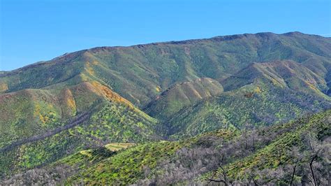 UC Davis Natural Reserves - Quail Ridge Reserve