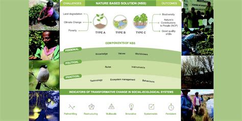 Naturbasierte L Sungen Planung Von Landschaft Und Urbanen Systemen