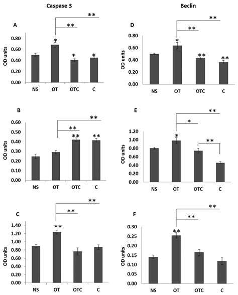 Expression Of Cleaved Caspase 3 As A Ratio Of Total Caspase 3 And