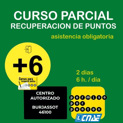 Recuperar Puntos Permiso De Conducir Valencia Autoescuela Avae Burjassot