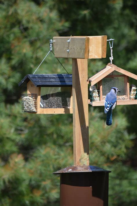 Cottage Workshop – Building a Squirrel-proof Bird Feeder | James Ross