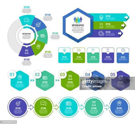 160 5 Stages Infographic High Res Illustrations Getty Images