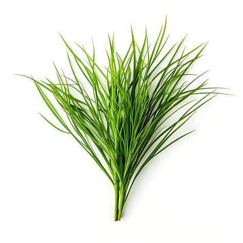 Premium AI Image | Cyperus Lupulinus Fresh Green a Great Plains