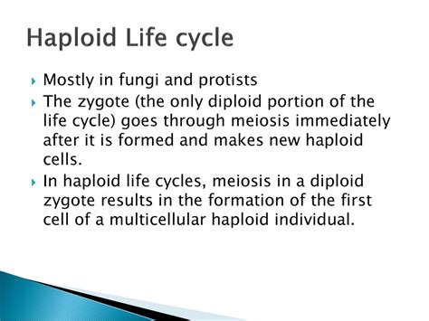 Meiosis And Sexual Reproduction Ppt Download