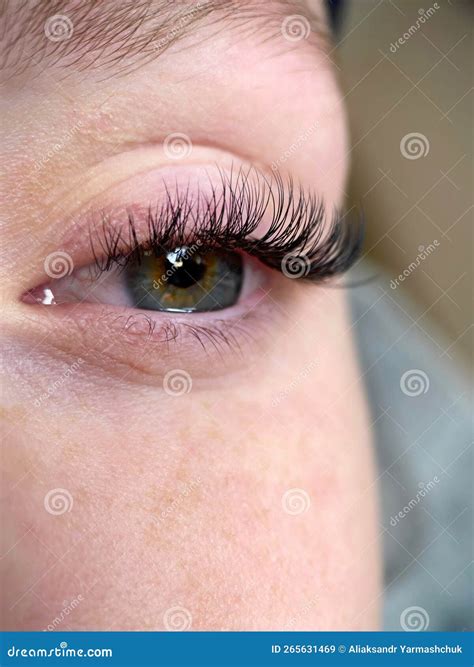 The Procedure Of Classical Eyelash Extension Beautiful Female Eyes