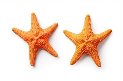 Premium Photo Stunning Starfish Exquisite Details From Front To Back