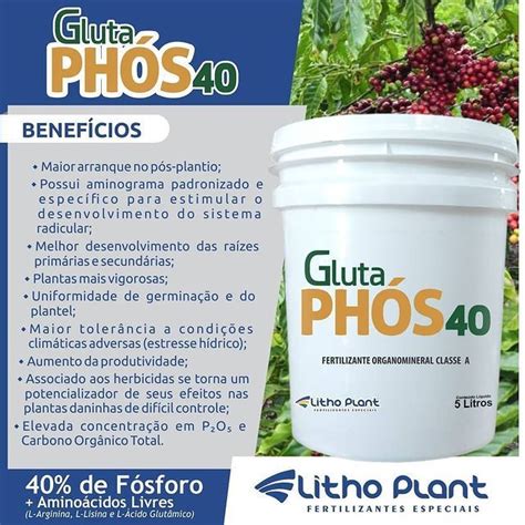 Litho Plant No Instagram De F Sforo Amino Cidos Livres