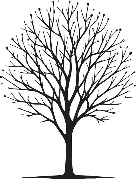 Naked Tree Vector Silhouette Black Color Vector Art At Vecteezy