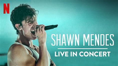 Shawn Mendes: Live in Concert (2020) - Netflix | Flixable