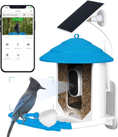 Amazon.com : JTAGOO Smart Bird Feeder with Camera Solar Powered