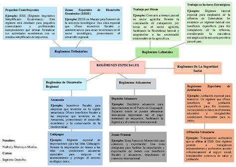 Regimenes Del Ecuador Reg Menes Especiales Reg Menes Tributarios