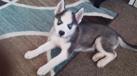 Gamers still laugh when hearing the name leroy jenkins today 6