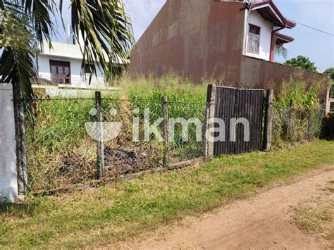 Land For Sale In Moratuwa Ikman