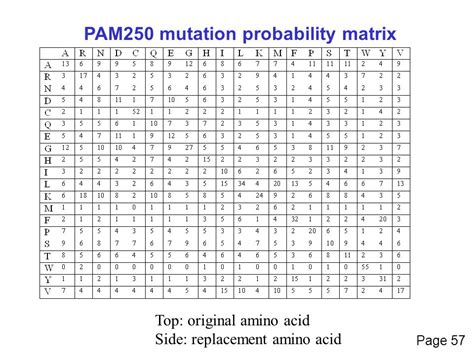 Amino Acid Substitutions And Replacement Matrices