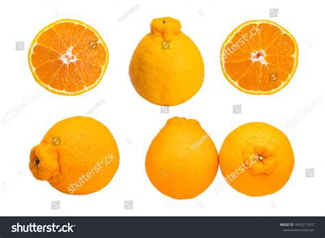 Set Sumo Mandarin Orange Citrus Fruit Stock Photo 1653211657 Shutterstock