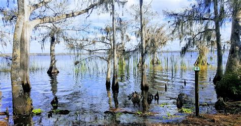 Disney Wilderness Preserve | The Nature Conservancy in Florida