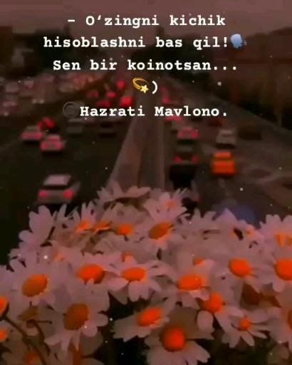 [Видео] «Islam ️‍🩹» | Исторические цитаты, Цитаты папы, Успокаивающие ...