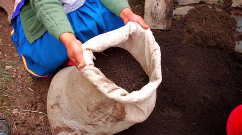 Producci N Y Uso De Abonos Org Nicos Biol Compost Y Humus